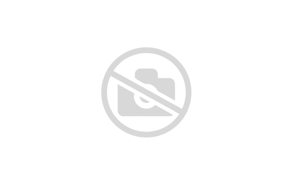 Таль LH100 рычажный ручной  1 т  6 м